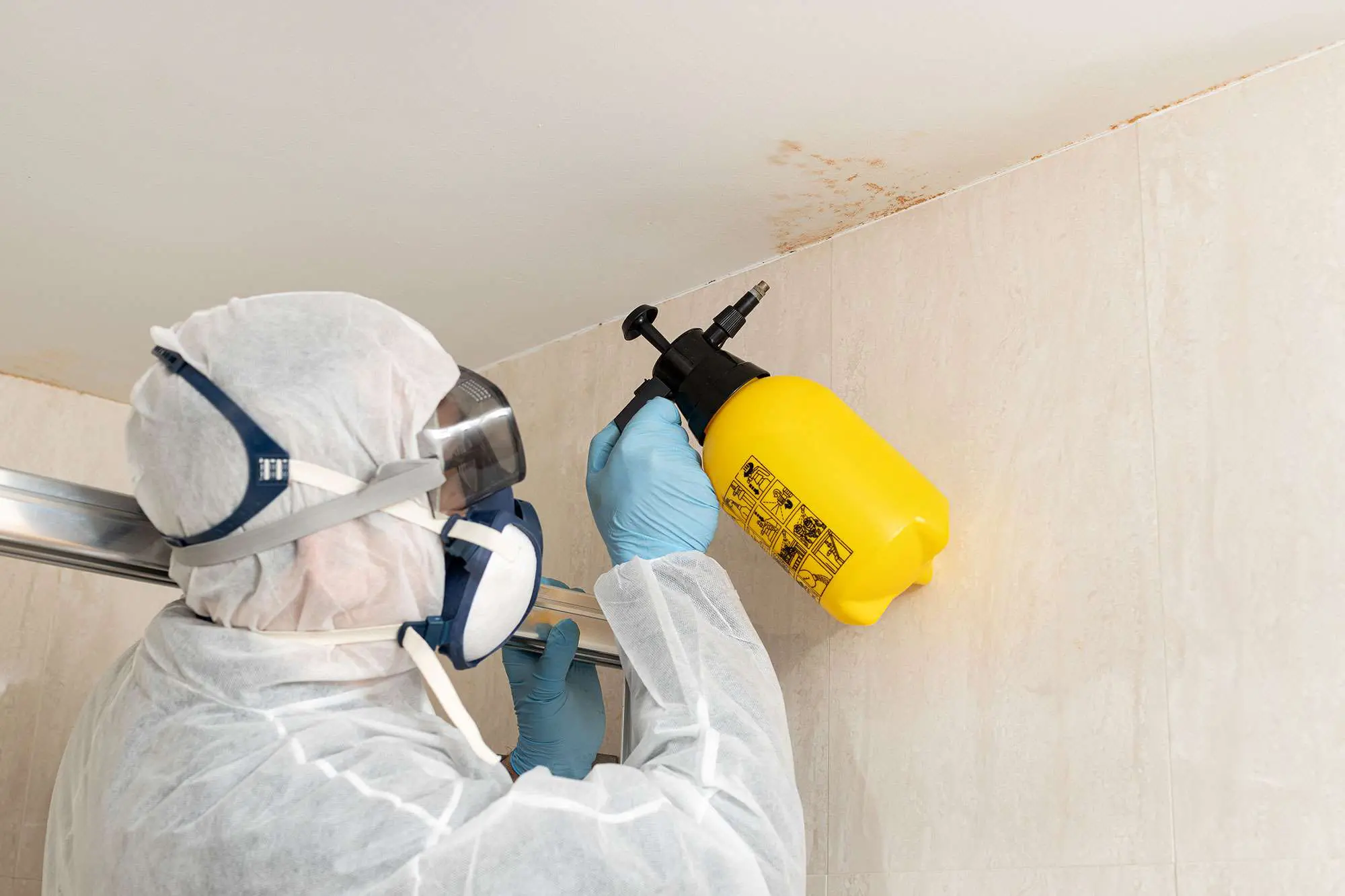 Specialist in protective gear treating mold on a ceiling